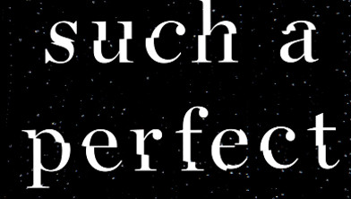 Book Review: ‘Such A Perfect Wife’ Is A Twisty Tale Of Murder