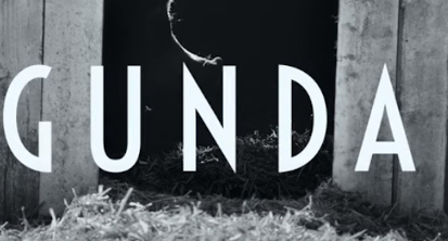 Documentary Review: ‘Gunda’